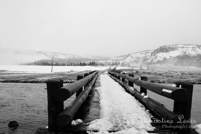 geysers, yellowstone national park, winter, mountains, snow, buffalo, bison, black and white, landscape, art print, christine lewis photography, wyoming