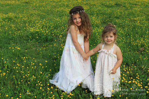 wildflowers, field, yellow, girls, curly, brown hair, vintage dresses, green, Chattanooga, TN, tennessee, portraits, professional, photographs, pictures