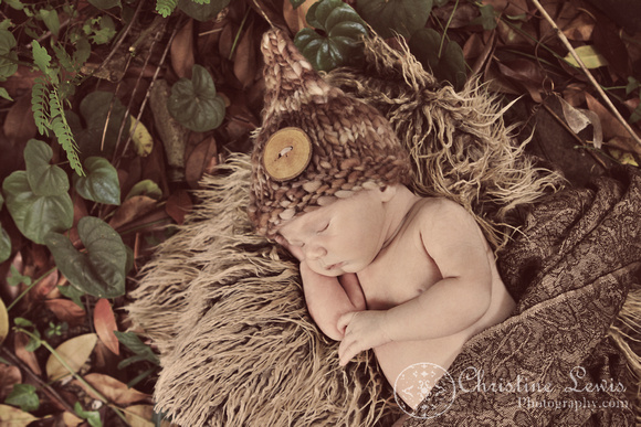 newborn photography, baby, infant, natural, outdoor, professional, chattanooga, tennessee, tn, gnome, organic, cute, vintage