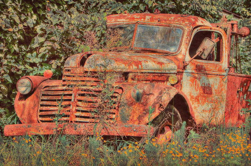 chevrolet, chevy, tow truck, old, HDR, abandoned, ivy, overgrown, yellow wildflowers, rusty