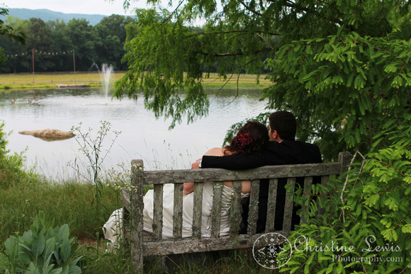 chattanooga nature center, tennessee, tn, outdoor, wedding, natural, professional, photographs, portraits, pictures, bride and groom, couple, pond, fountain