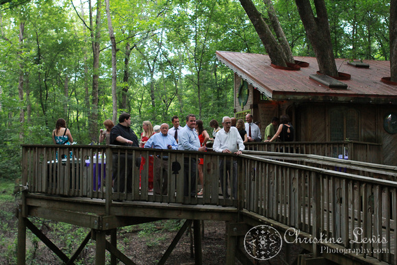 chattanooga nature center, tennessee, tn, outdoor, wedding, natural, professional, photographs, portraits, pictures, reception, discovery forest treehouse, guests