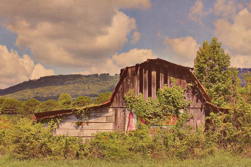 barn, farmers cooperative, overgrown, vintage, blue sky, mountain, country, rural, &quot;christine lewis photography&quot;, dunlap, tn, tennessee, home decor, fine art print