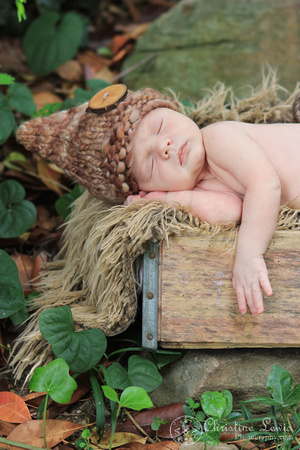 newborn photography, baby, infant, natural, outdoor, professional, chattanooga, tennessee, tn, gnome, ivy, wood crate, organic