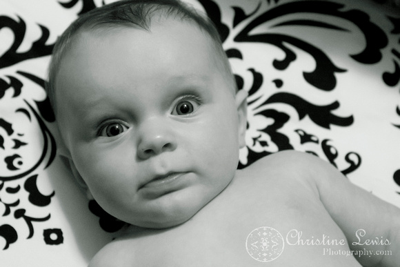 baby portrait photo shoot, chattanooga, tn, three months old, children, "Christine Lewis Photography"