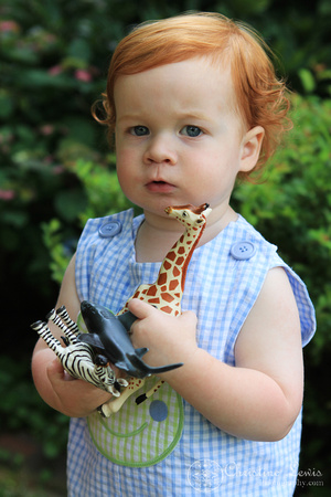 children photography, natural, outdoor, professional, chattanooga, tennessee, tn, animals, toys, two year old, red curly hair