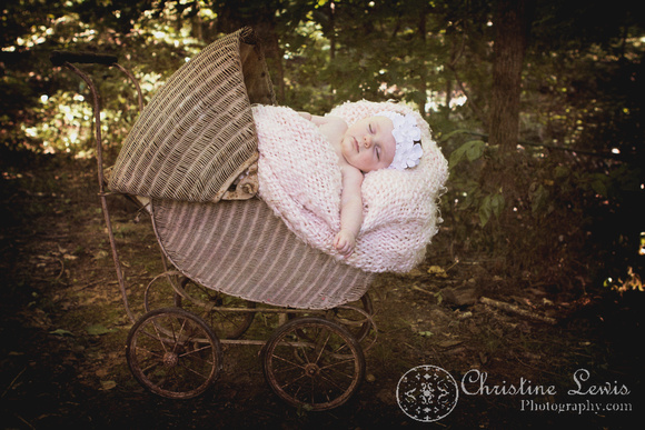 baby portrait photo shoot, chattanooga, tn, three months old, children, "Christine Lewis Photography", outdoor, sleeping, baby carriage, vintage
